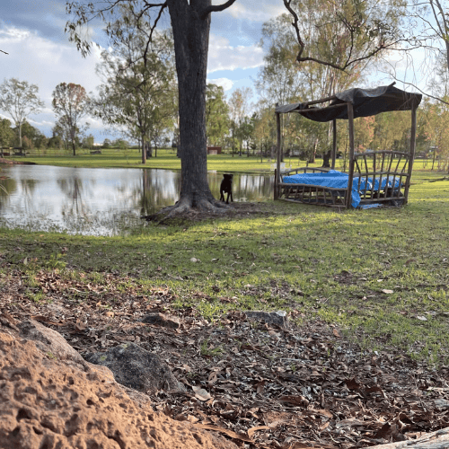 content creator bed prop next to dam at farm