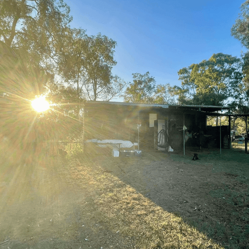 sleep when you're dead bar an event space in lockyer valley
