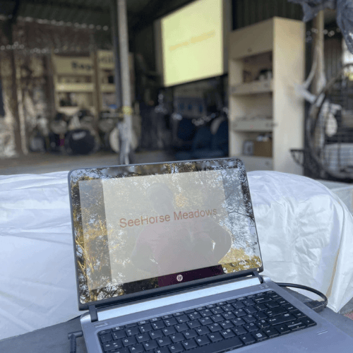 laptop that says SeeHorse Meadows hooked up to projector screen at event space in lockyer valley